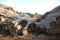 Holz im Energiehof